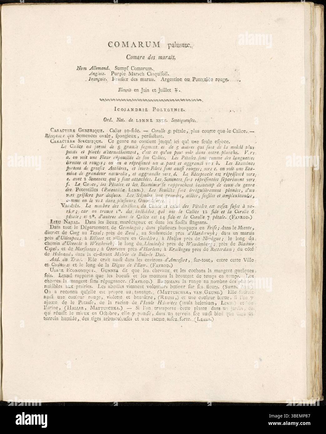 Platte 0135 der französischen Ausgabe von Flora Batava von Jan Kops (1807) zeigt Comarum palustre, Sumpfmarigolde, die den charakteristischen aquatischen Lebensraum und die botanischen Eigenschaften hervorhebt. Stockfoto