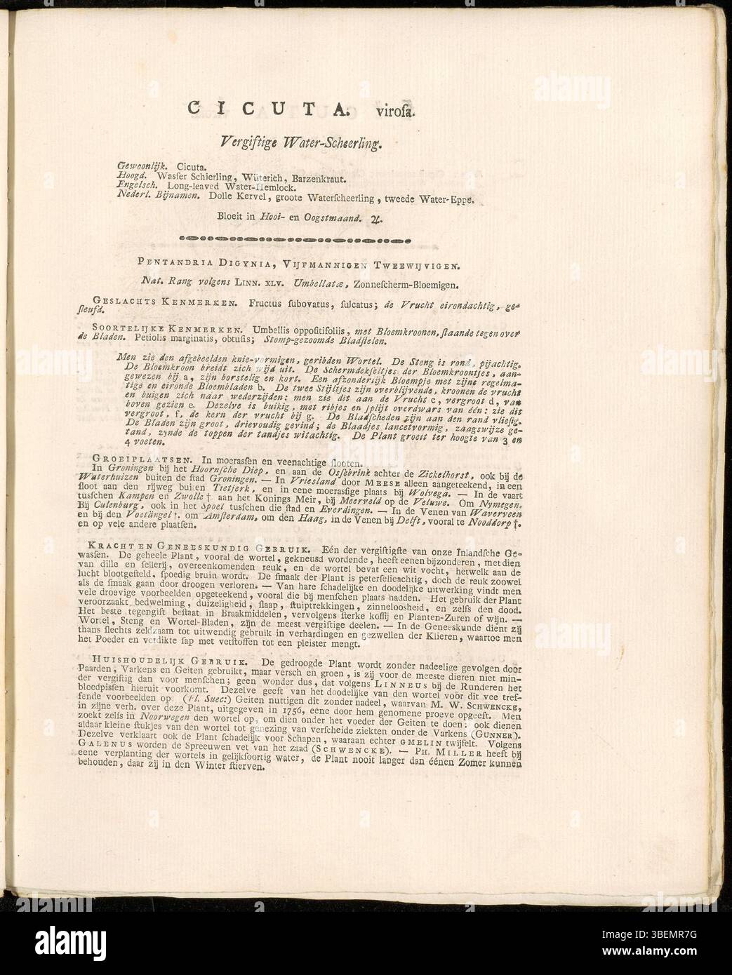 Diese niederländische Beschreibung von Jan Kops' Flora Batava aus dem Jahr 1822 veranschaulicht Cicuta virosa (Wasserhemlock), eine gefährliche Wasserpflanze, die für ihre Toxizität bekannt ist. Es ist Teil der botanischen Serie, die die niederländische Flora dokumentiert. Stockfoto