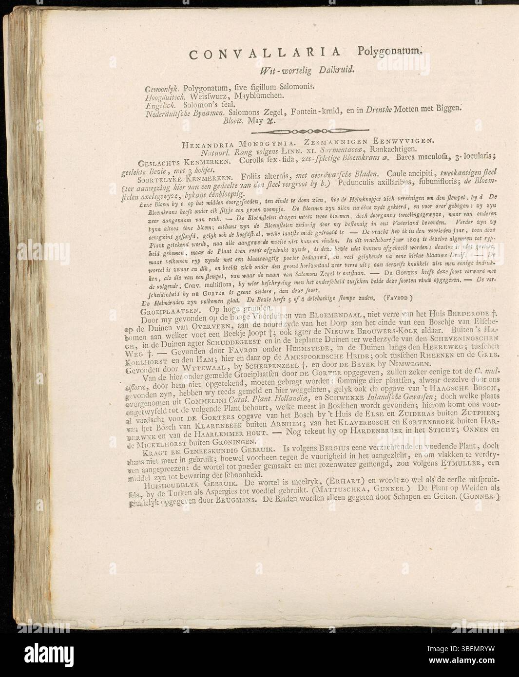 Die Platte 0094 aus Flora Batava, die von Jan Kops im Jahr 1807 geschaffen wurde, zeigt Convallaria polygonatum, heute bekannt als Polygonatum odoratum. Die botanische Abbildung zeigt die wichtigsten Merkmale der Pflanze, insbesondere ihre Blüten- und Blattstruktur. Stockfoto