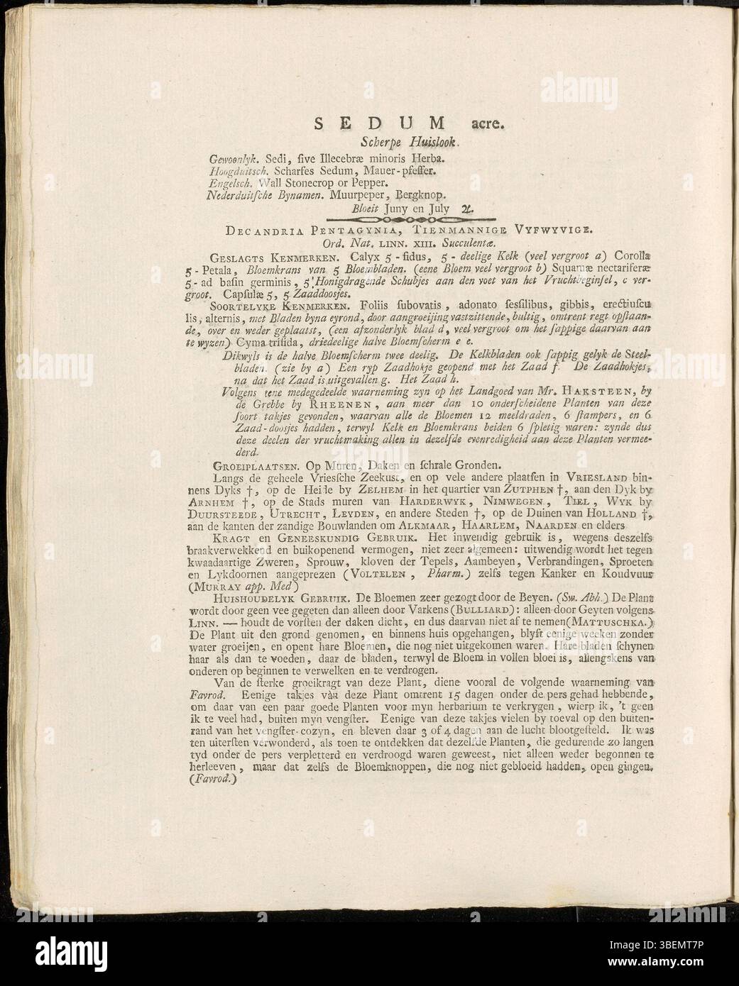 Diese botanische Platte von Jan Kops aus dem Jahr 1800 zeigt *Sedum acre*, allgemein bekannt als beißende Steinpfanne, eine saftige Pflanze mit gelben Blüten, die oft in felsigen oder sandigen Lebensräumen zu finden ist. Stockfoto