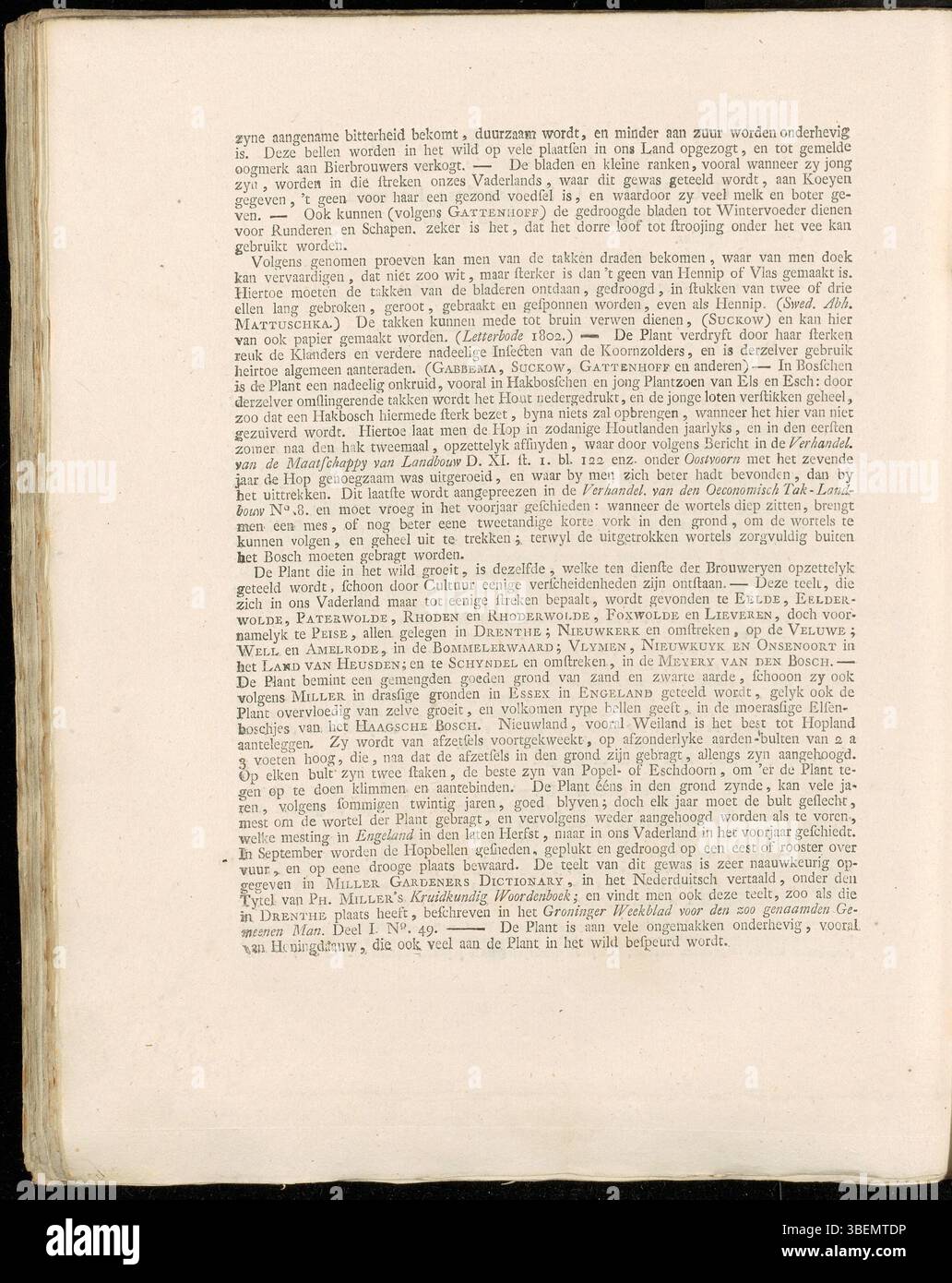Die Illustrationen von Humulus lupulus aus dem Jahr 1807 von Jan Kops (Platten 0089 und 0090) zeigen die für das Brauen entscheidenden männlichen und weiblichen Hopfenpflanzen. Das botanische Kunstwerk ist Teil der Sammlung Flora Batava, die niederländische Pflanzenarten dokumentiert. Stockfoto