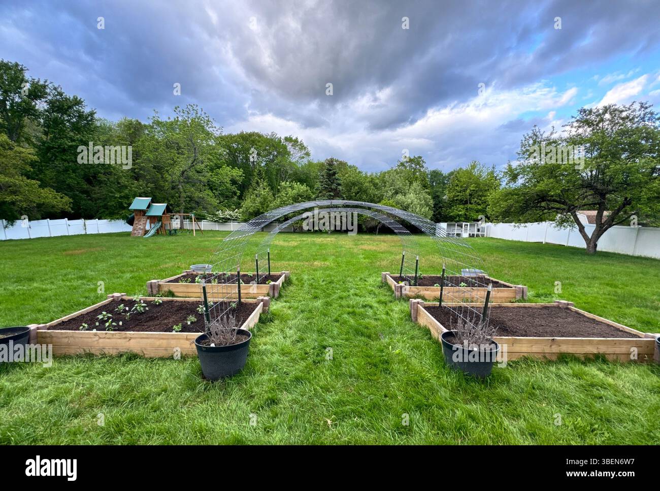 Hochbeet Garten mit Bogenspalier und jungen Pflanzen auf einem üppig grünen Rasen, umgeben von Bäumen und einem weißen Zaun. - Smartphone-aufgenommenes Stockfoto