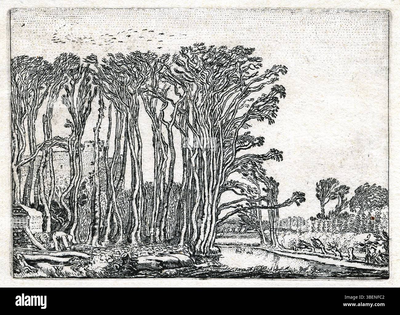 Ätzung von Willem Pieterszoon Buytewech aus dem Jahr 1621 mit einem Kohlebrenner neben einer Baumlinie, der ländliche Arbeit und natürliche Umwelt veranschaulicht. Stockfoto