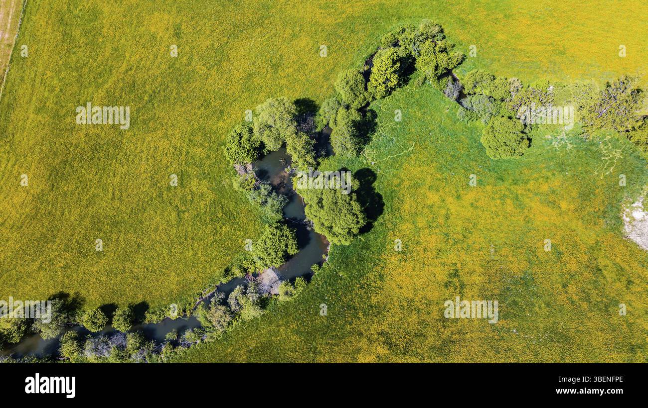 Naturdenkmal auf der Rot. Luftaufnahme. Der Bach schlängelt sich durch die Quelllandschaft bei Wielandsweiler, einem Stadtteil von Schwäbisch Hall, Baden- Stockfoto