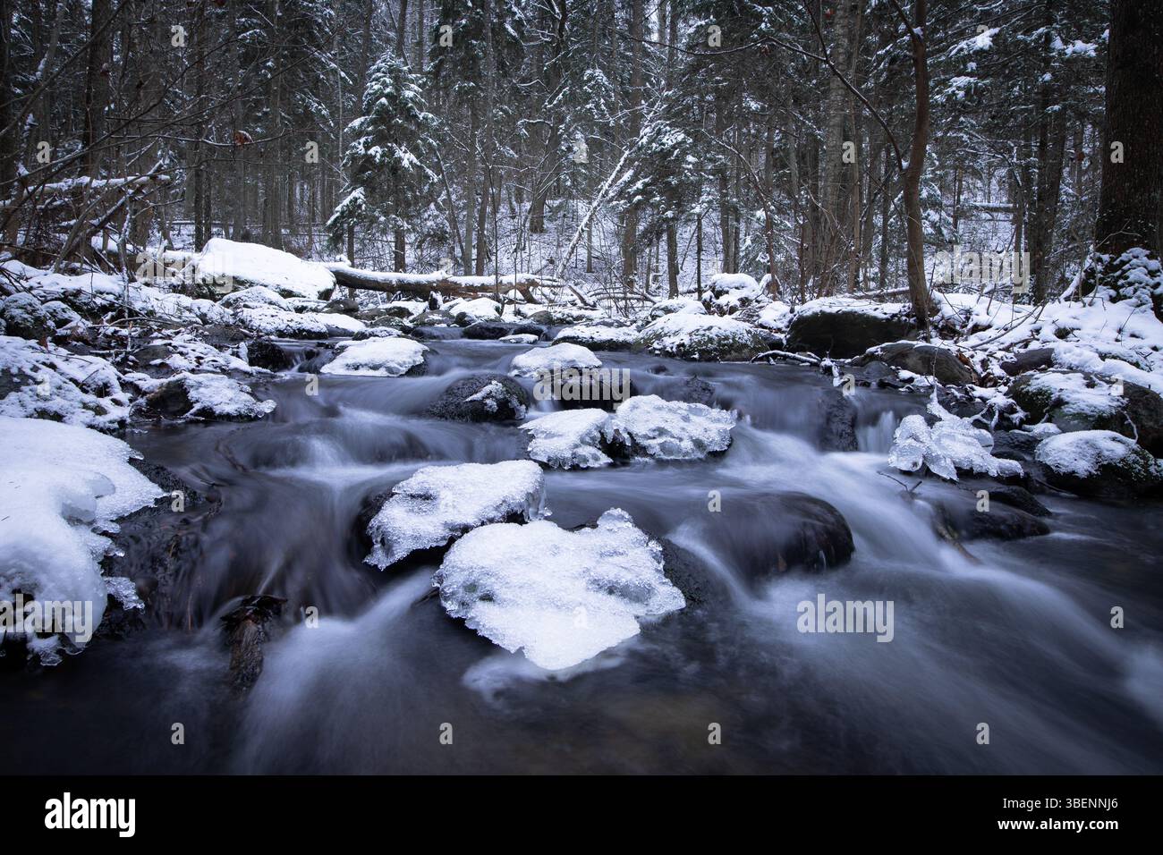 Ein ruhiger Waldfluss fließt durch eine schneebedeckte Landschaft mit eisigem Wasser, das über dunkle Felsen mit glitzerndem Schnee kaskadiert. Stockfoto