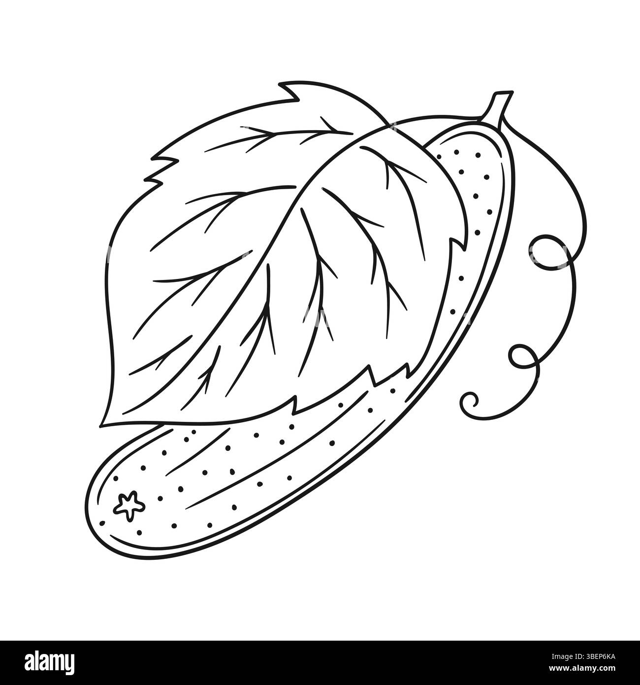 Niedliche Gemüseillustration in Handzeichnung. Schwarzweiß. Gurkensymbol auf weißem Hintergrund. Design zum Ausmalen von Büchern, Lernspielen für Kinder Stock Vektor