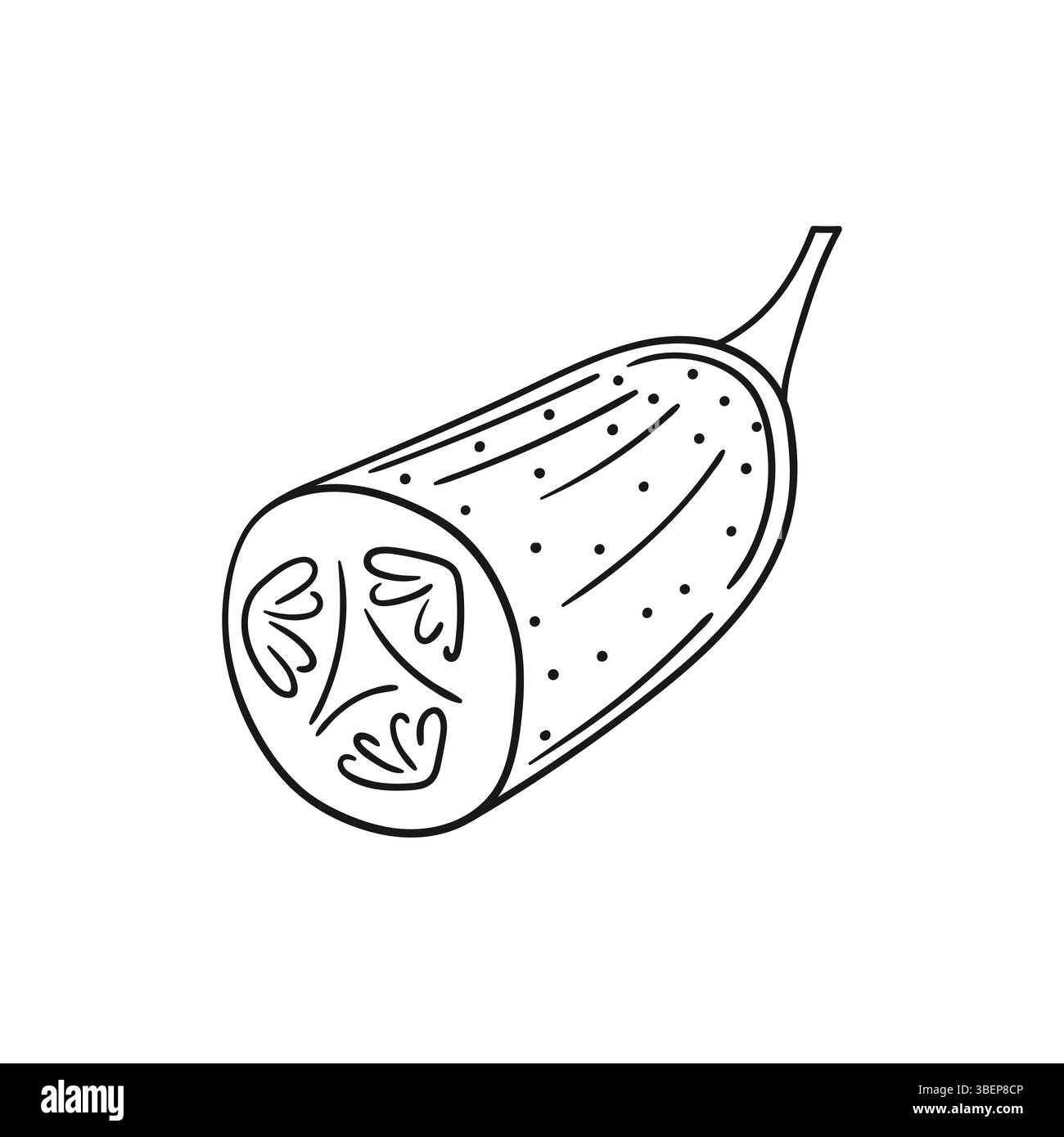 Niedliche Gemüseillustration in Handzeichnung. Schwarzweiß. Gurkensymbol auf weißem Hintergrund. Design zum Ausmalen von Büchern, Lernspielen für Kinder Stock Vektor