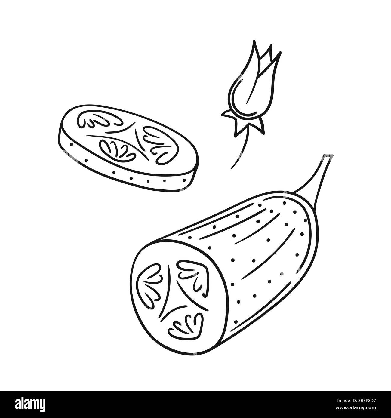 Niedliche Gemüseillustration in Handzeichnung. Schwarzweiß. Gurkensymbol auf weißem Hintergrund. Design für Malbuch Stock Vektor