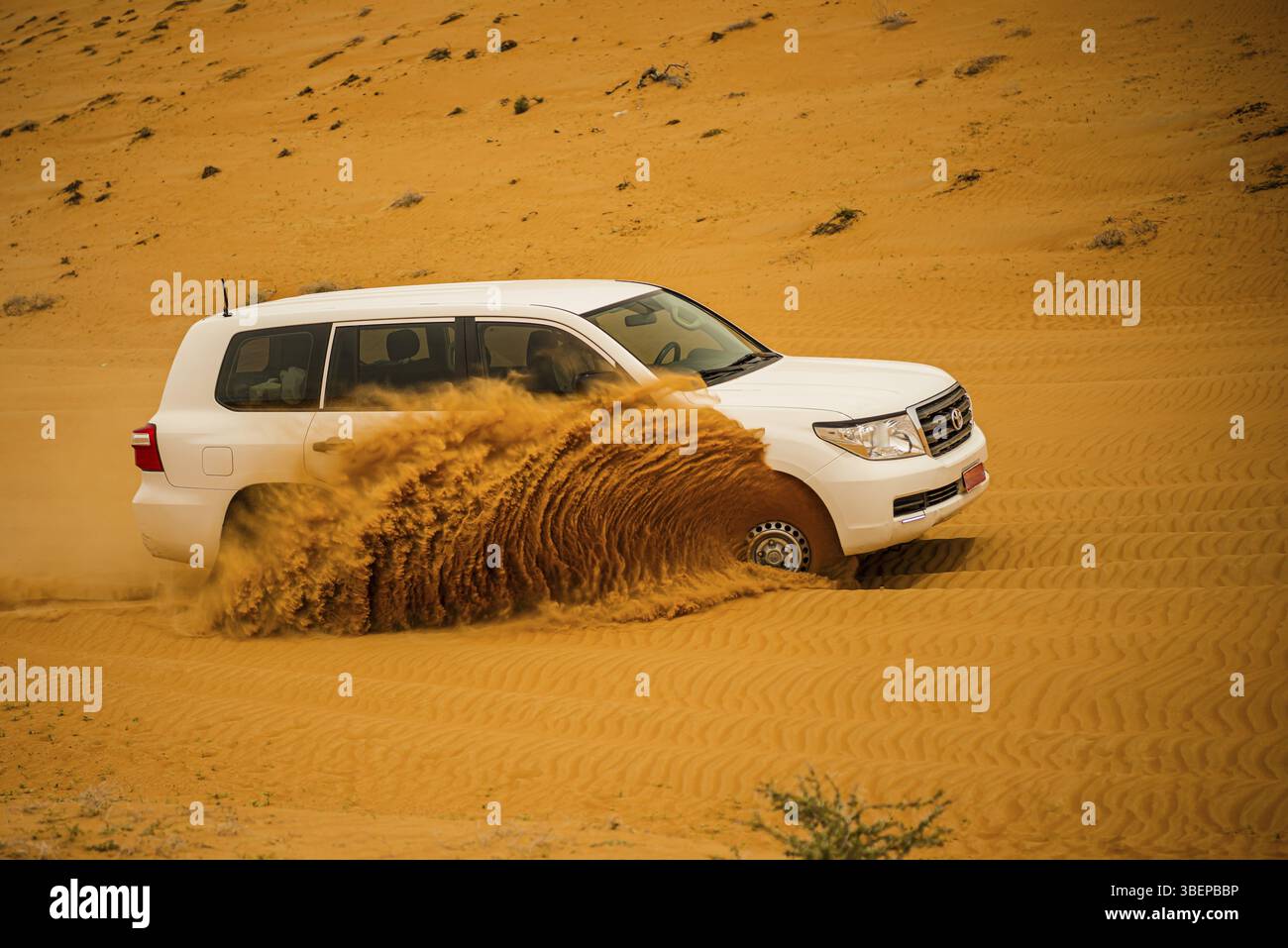 Wüstengolf von Oman Stockfoto