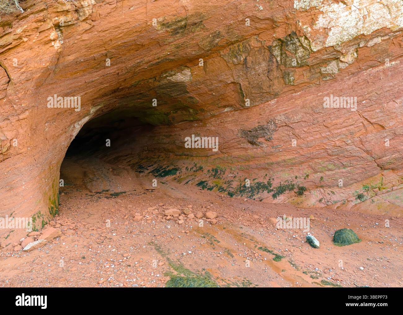 Große Meereshöhle in rotem Sandstein am Meer bei Ebbe in St. Martins, New Brunswick, Kanada. Nahaufnahme von außen. Stockfoto