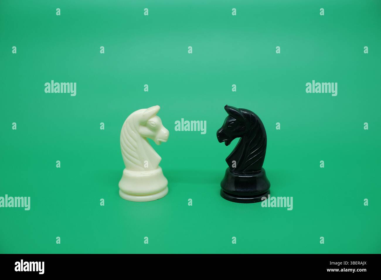Zwei Pferde- oder Ritterschachfiguren, schwarz und weiß zueinander. Im Schachspiel haben Pferde eine einzigartige und tödliche Bewegung, nämlich den L-Zug. Stockfoto