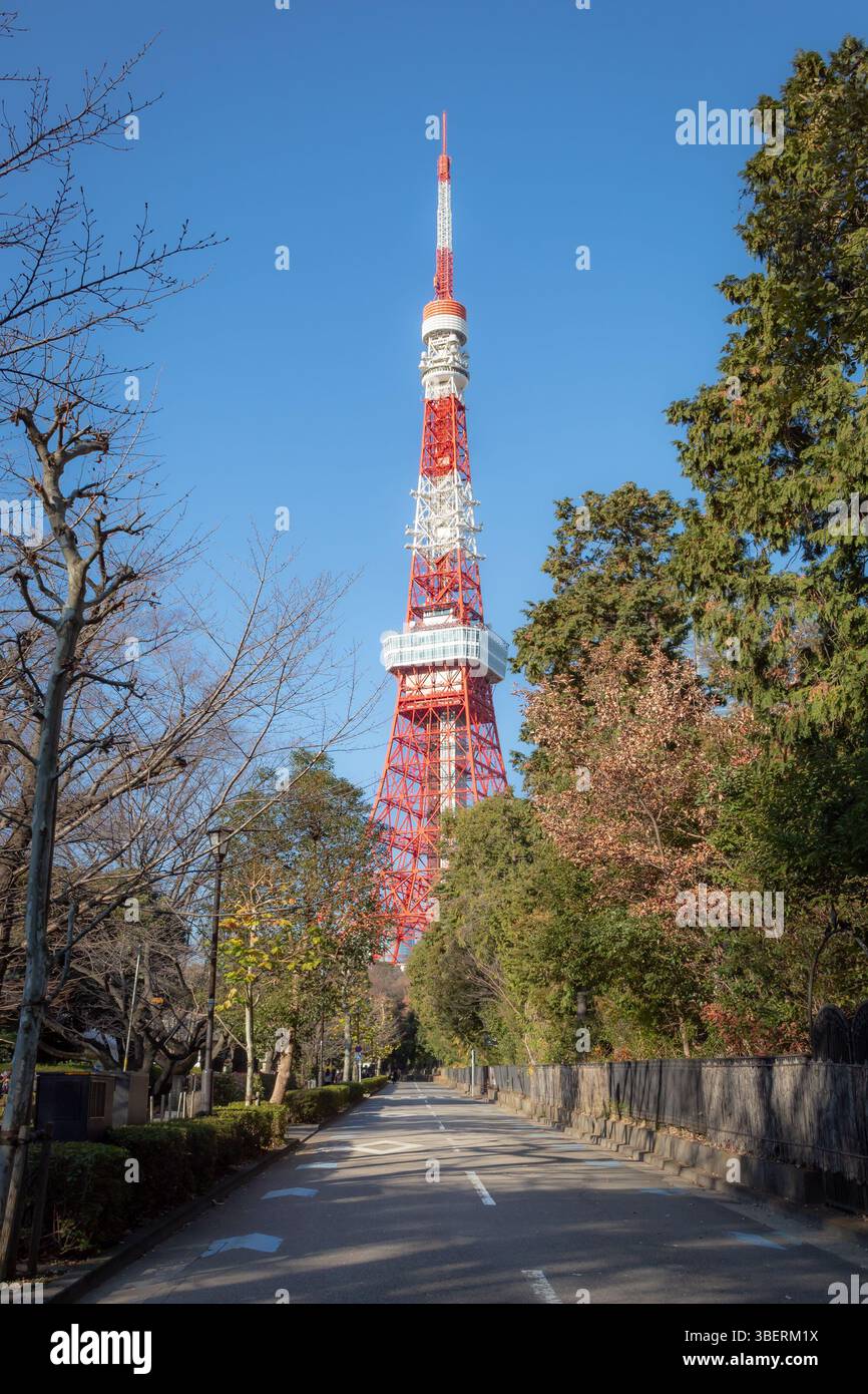 Baumbestandene Straße, die zum roten, ikonischen Tokyo Tower führt. Foto an einem klaren, sonnigen Tag Stockfoto