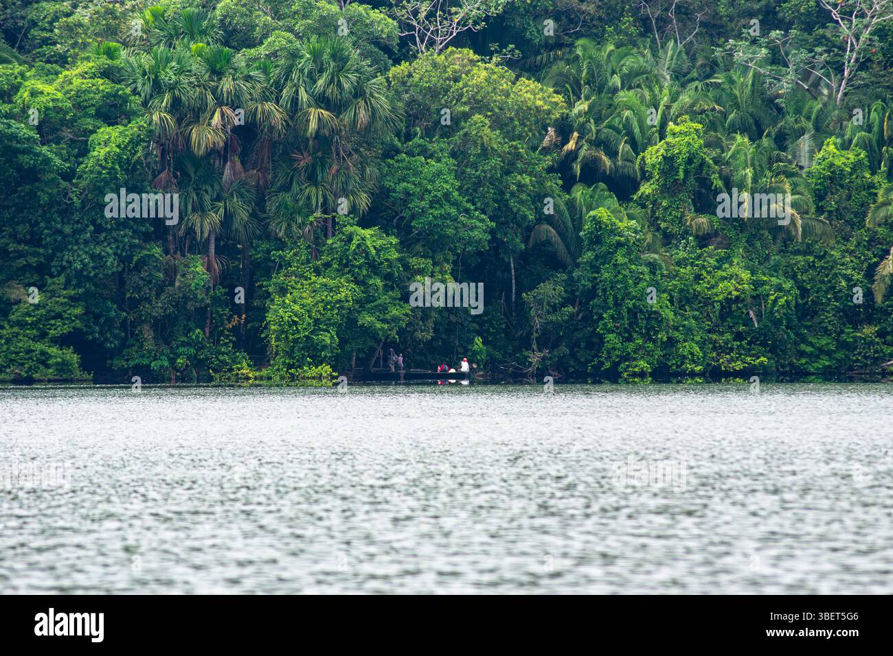 Touristen, die mit einem Boot in einen Navigationskanal des Sees Sandoval im peruanischen Amazonas-Regenwald einsteigen, inmitten des dichten Waldes Stockfoto