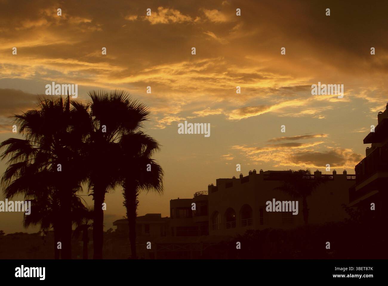 Sonnenuntergang in der Sharks Bay Stockfoto