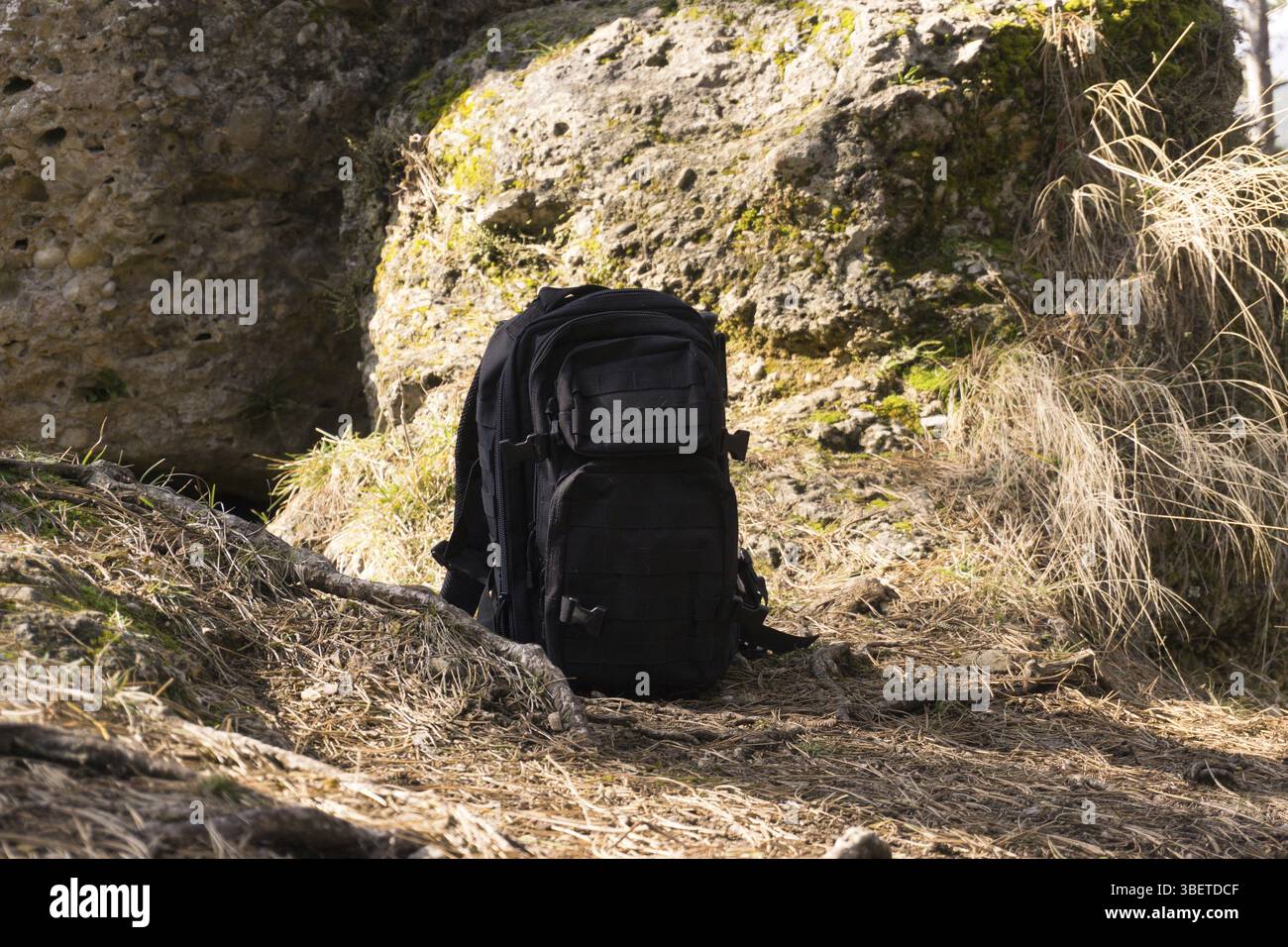 Große Steine im Holz mit Rucksack Stockfoto