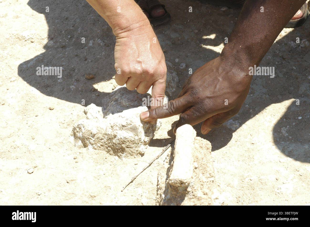 Paläontologische Ausgrabungsstätte in Malawi Stockfoto