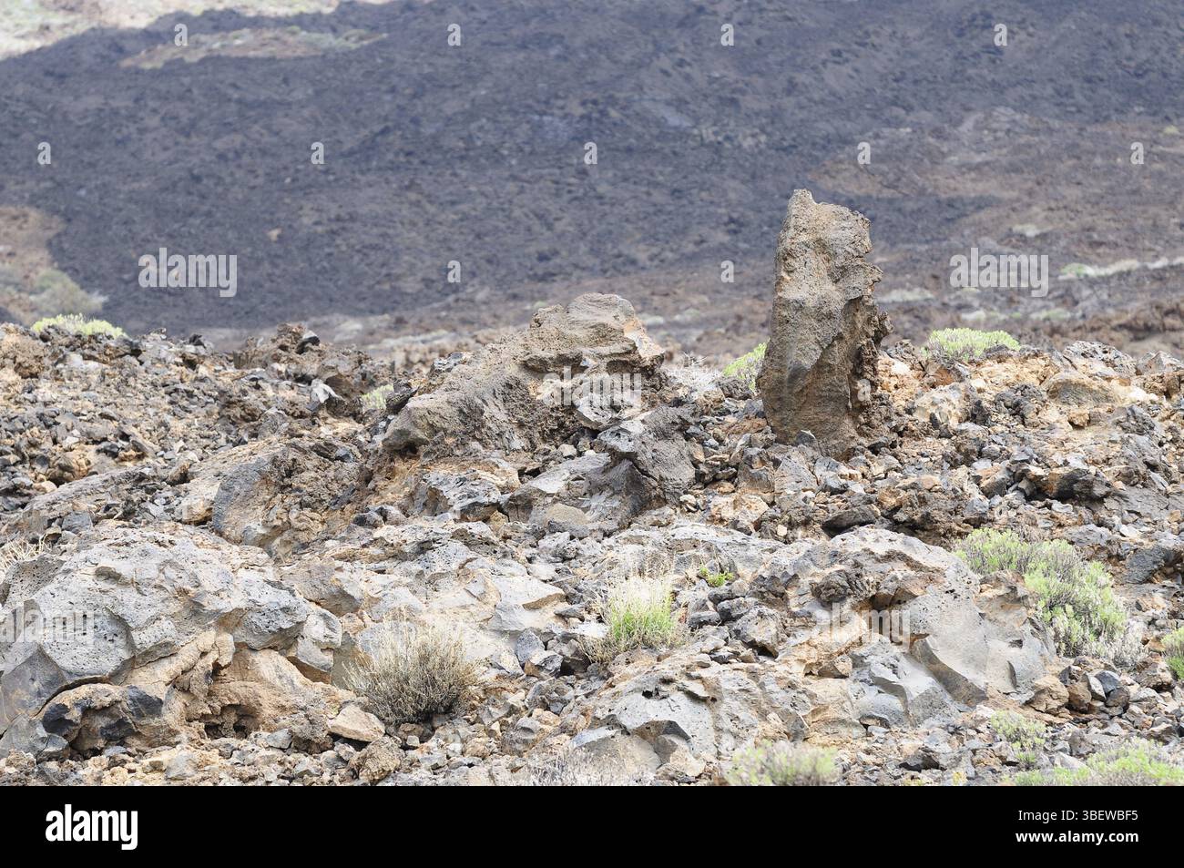 Teneriffa (teneriffa) Stockfoto