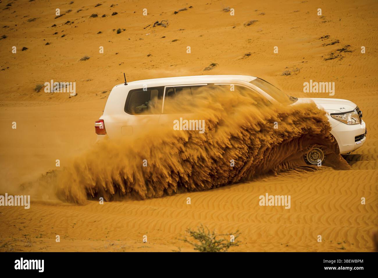 Wüstengolf von Oman Stockfoto