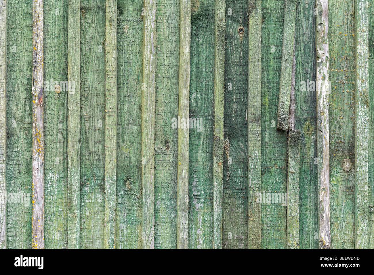 Vintage grüne Holzwand mit verwitterter Textur, rustikalen Mustern und veraltetem Charme. Hintergrundfoto, Vorderansicht Stockfoto