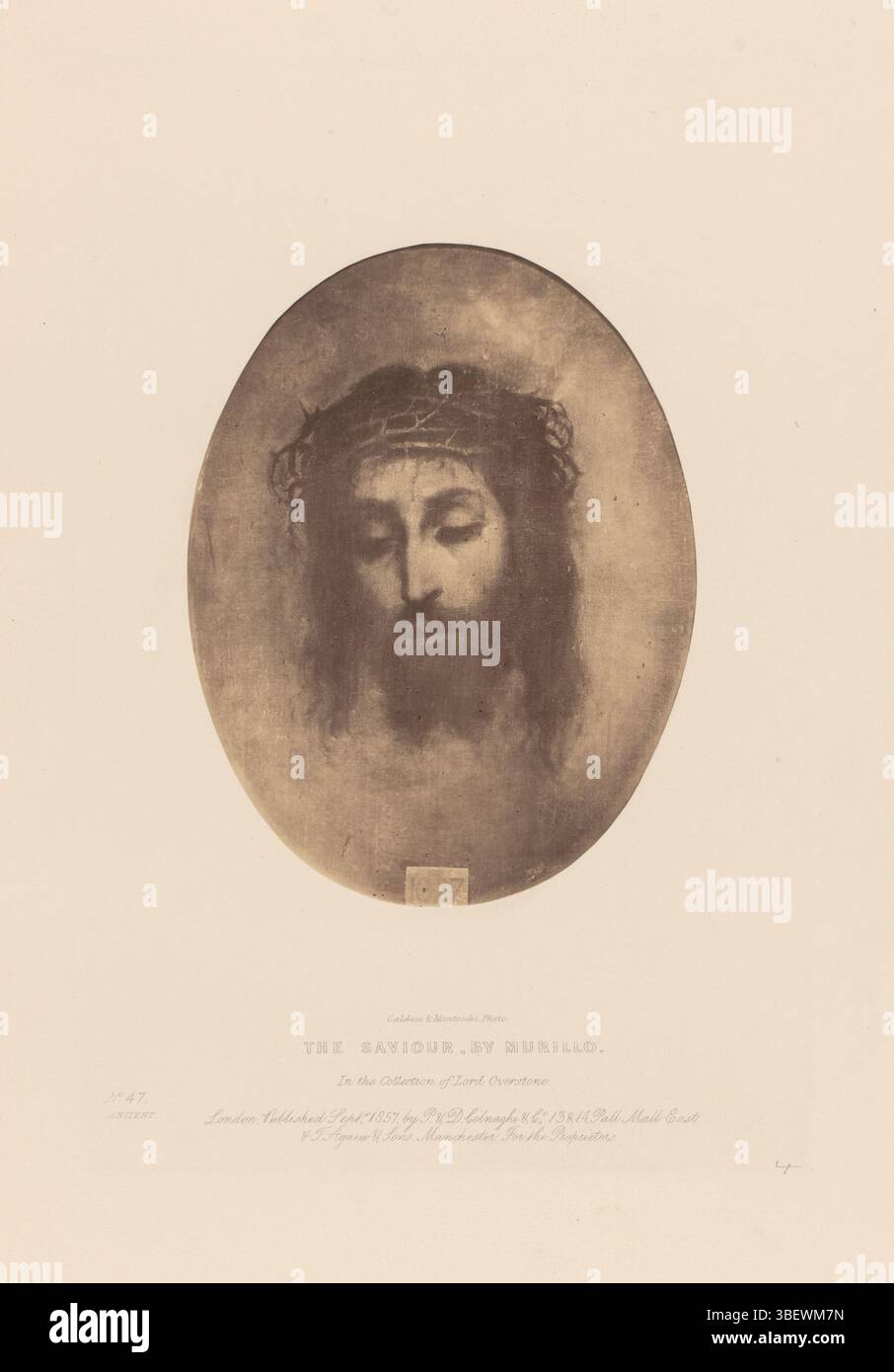 Murillo, Bartolomé Esteban, Montecchi, Mattia, Caldesi, Leonida, der Erlöser, von Murillo, Fotoreproduktion des Erlösers von Bartolomé Murillo, Recto - handschriftlich, Foto, Foto, Reproduktion, Seite, Fotos, fotografische illustrierte Bücher, Nr. 47./ ANTIK., Recto - gedruckt, in The Collection of Lord Overstone./ London, erschienen im September 1857 von P. & D. Colnaghi & Co, 13 & 14, Pall Mall East/ & T. Agneur & Sons, Manchester. Für die Inhaber., 4, Höhe 181 mm, Breite 139 mm, Italienisch, Britisch, 1823 - 1891, Fotograf, 1853 - 1858, Fotopapier, Fotopapier, Albumin-Druck Stockfoto