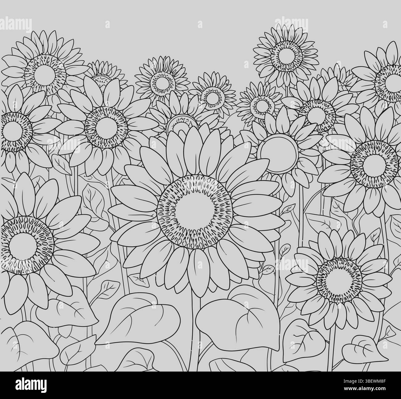 Die Eleganz des Sonnenblumengartens: Eine Illustration einer Gruppe von Sonnenblumen schafft eine fesselnde Szene Stock Vektor