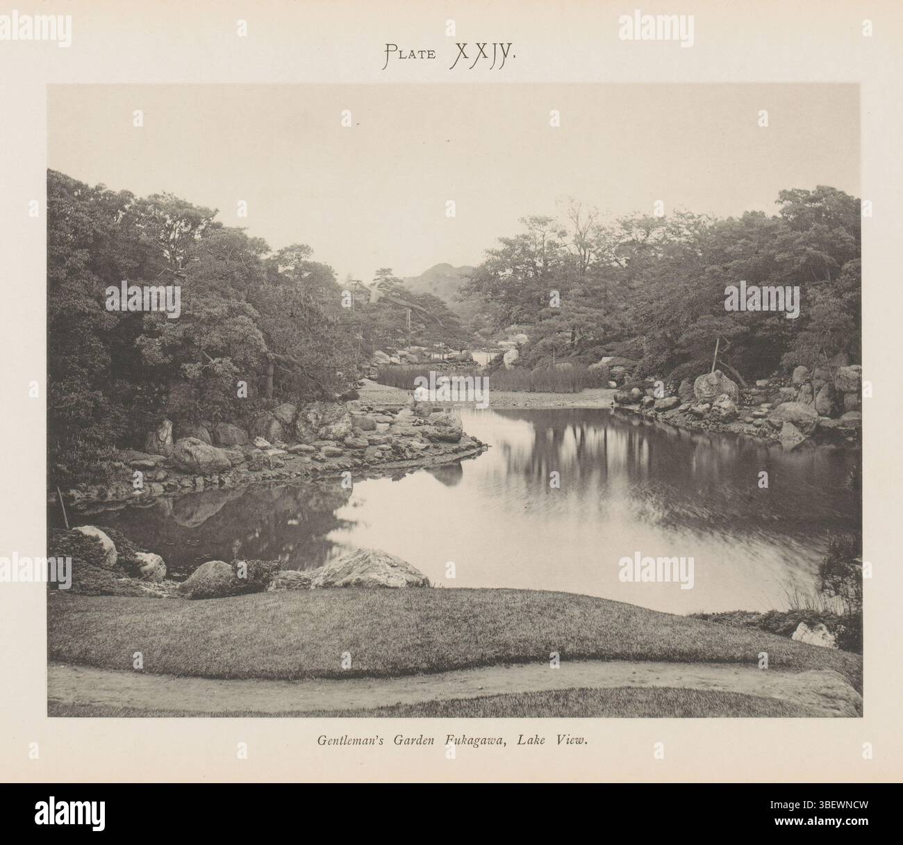 Fukagawa, Ogawa, Kazumasa, Gentleman's Garden, Fukagawa, Zentralansicht, Blick auf einen Garten in Fukagawa in Tokio, Japan, rektogedruckter, fotomechanischer Druck, Seite, Fotos, fotografische illustrierte Bücher, Platte XXIV., Höhe 197 mm, Breite 254 mm, Japanisch, 29. September 1860 - 1929 06, Hersteller, 1888 - 1893, Papier, Kollotypie, heller Druck Stockfoto