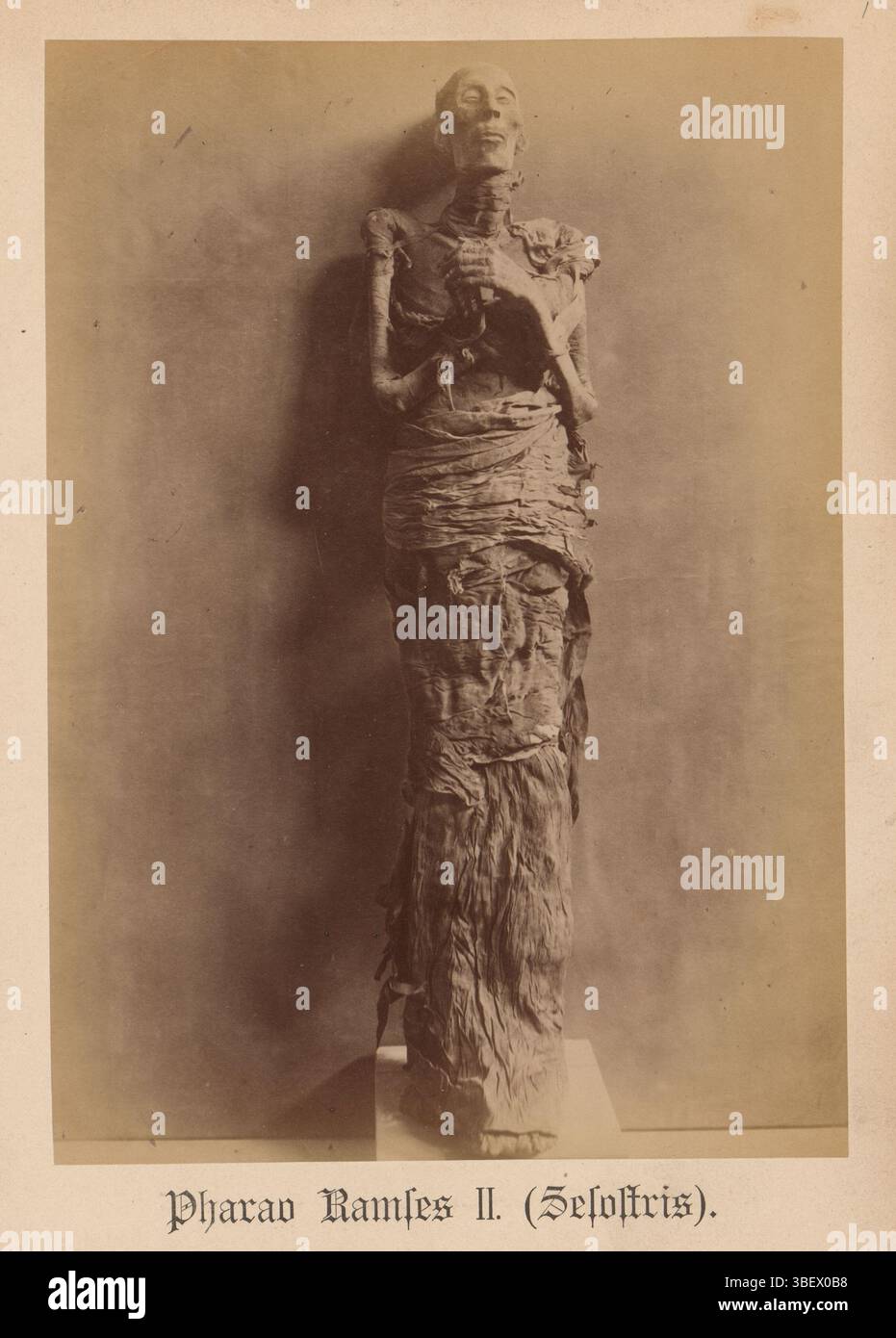 Mayer, Samuel M., Pharao Ramses II (Sesostris), Mama des Pharao Ramses II., Recto - gedruckt, Foto, Foto, Seite, Fotos, Verlag von S. Mayer in Esslingen, Höhe 234 mm, Breite 165 mm, Fotograf, 1881 - 1886, Fotopapier, Fotopapier, Albumindruck, Publikation (Ereignis), Publikation, Herausgeber Stockfoto
