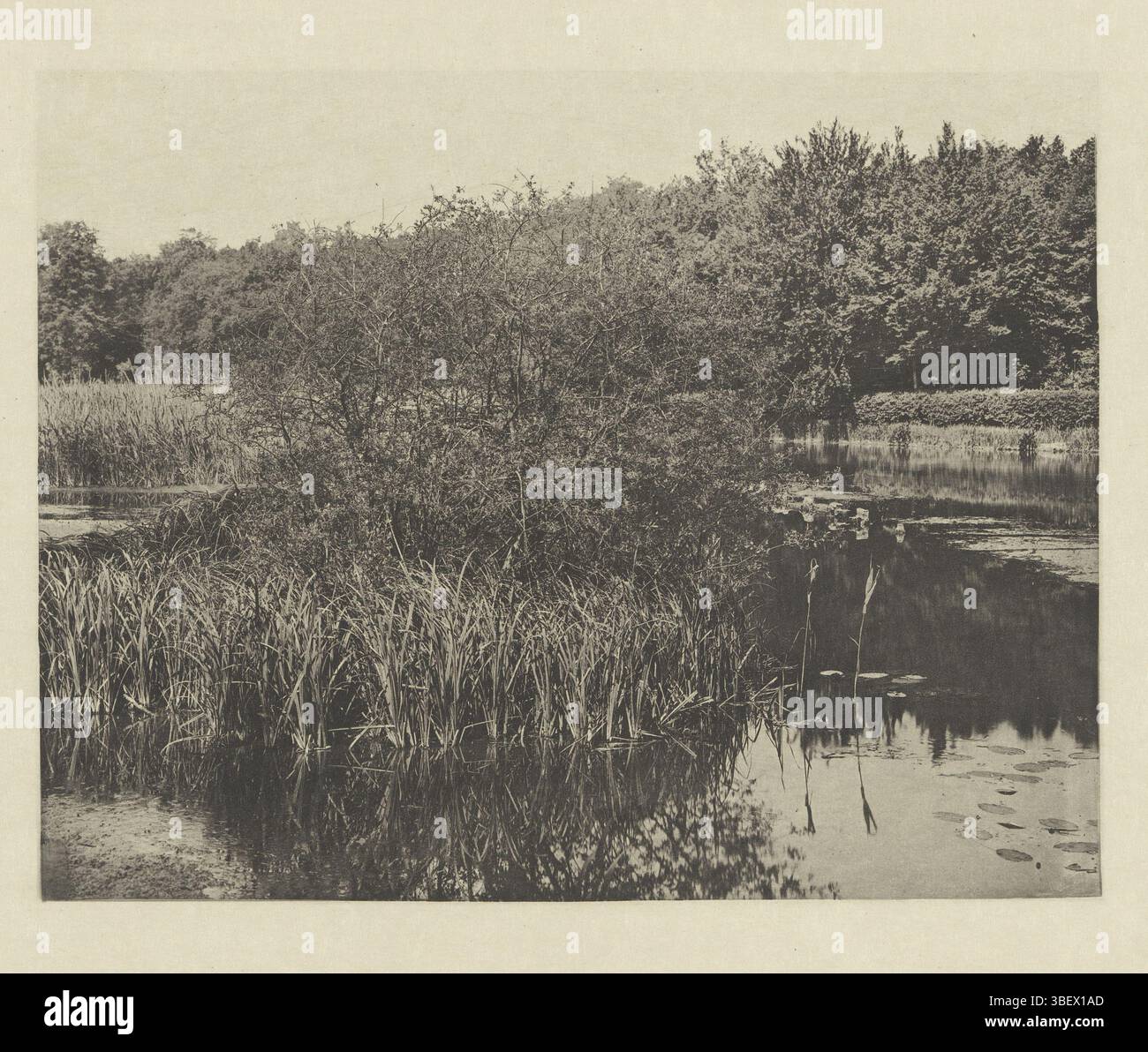 Fillon & Heuse, Dubouloz, J., Etang de Commelles, Foto, Fotos, Höhe mm, Breite mm, Fotograf, 1896 - 1896, viertes Viertel 19. Jahrhundert, Heliogravure, Drucker Stockfoto