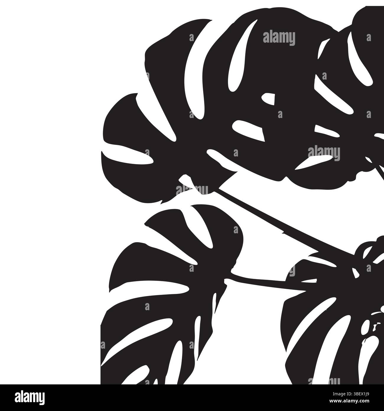 Monstera Silhouette Vektor-Illustration des tropischen Pflanzenblattes auf weißem Hintergrund Stock Vektor