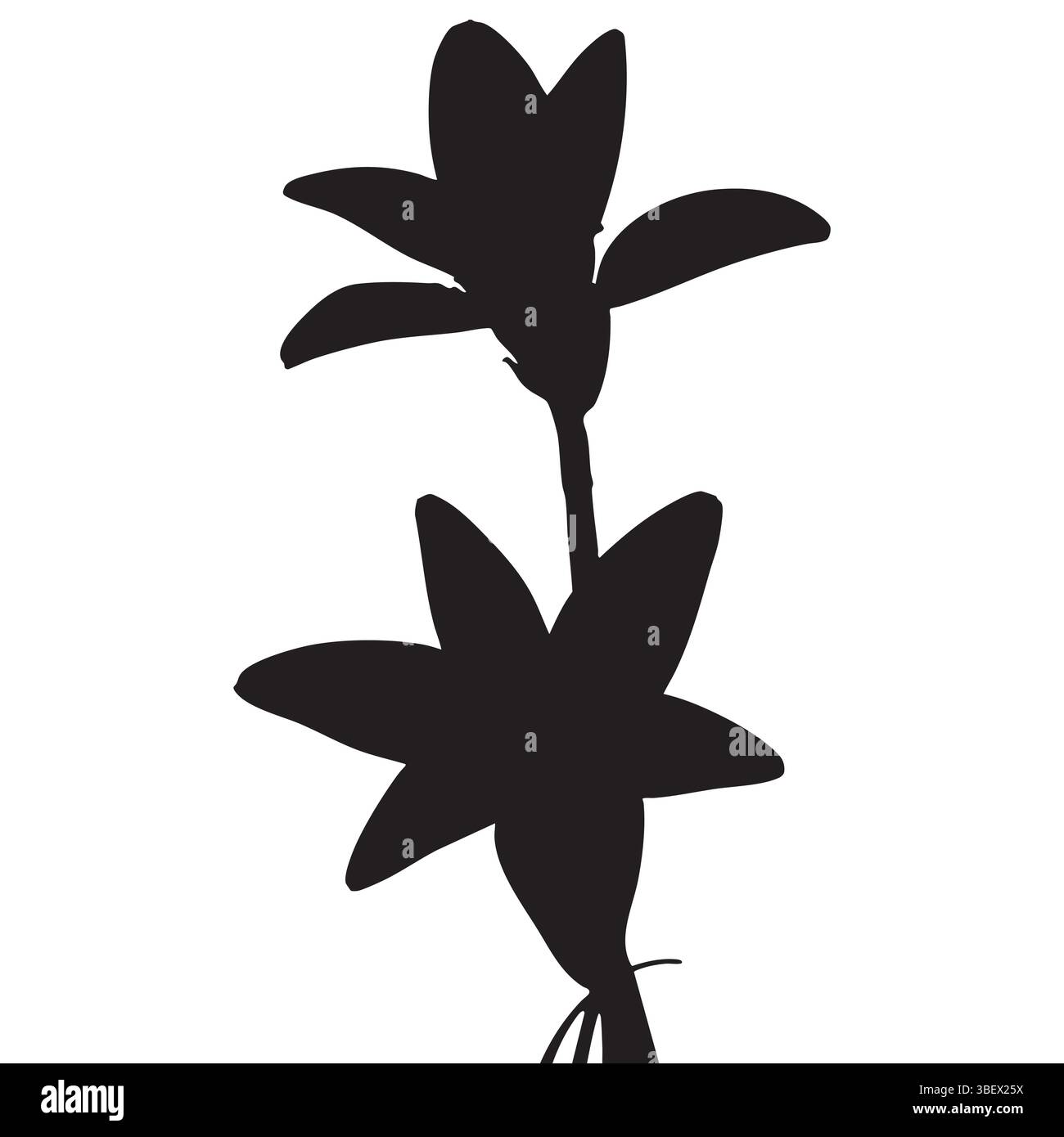 Silhouette von zwei blühenden Blumen auf einem einzigen Stiel, vor einem scharf weißen Hintergrund. Stock Vektor