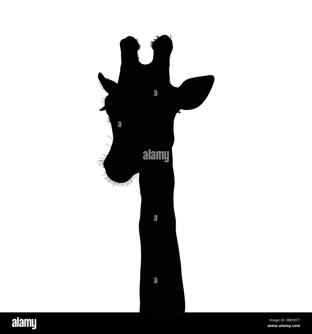 Silhouette von Giraffe Kopf und Hals isoliert auf weißem Hintergrund Stock Vektor
