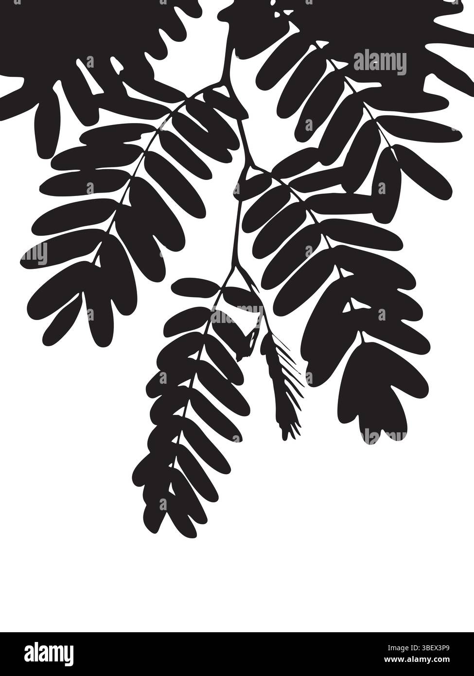 Silhouetten hängen vor einem weißen Hintergrund und erzeugen einen grafischen Kontrast in Schwarz-weiß. Stock Vektor