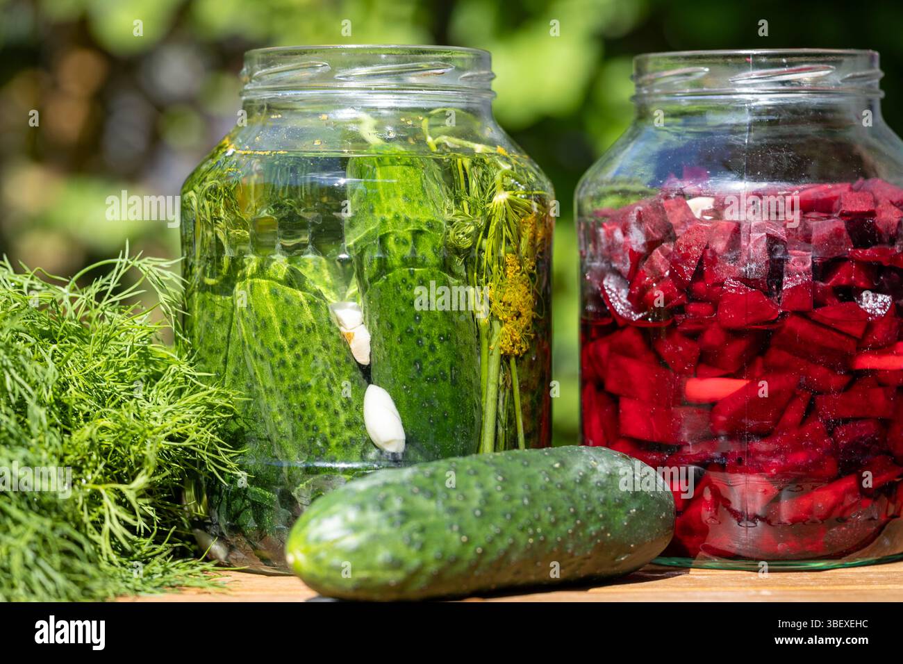 Eingelegte Gurken Und Rote-Bete-Gläser Im Freien Stockfoto