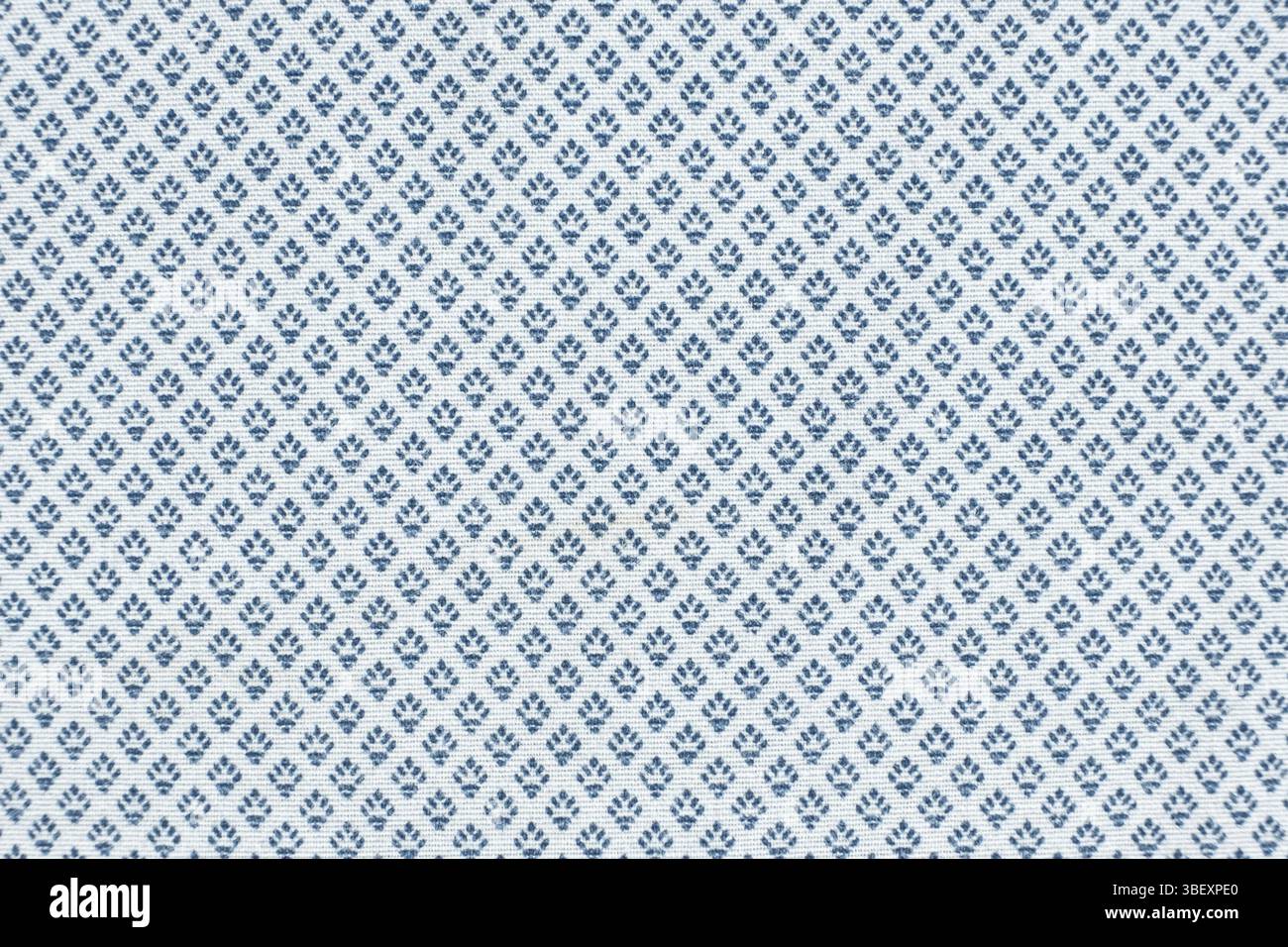 Makrostruktur eines Gewebes, das zu 100 % aus Baumwolle besteht Stockfoto