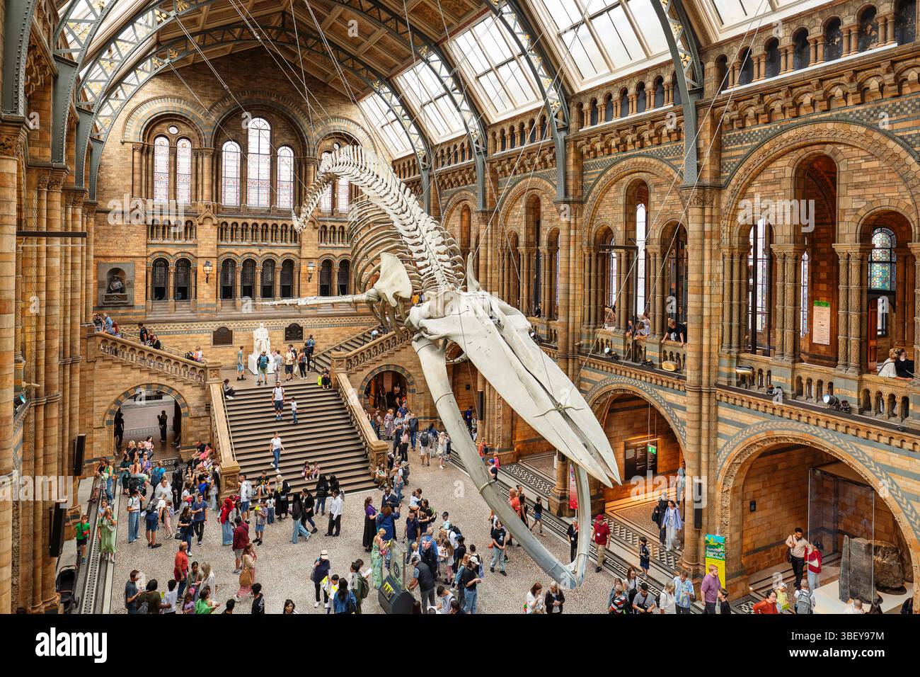 Science Museum, South Kensington, London, England Stockfoto