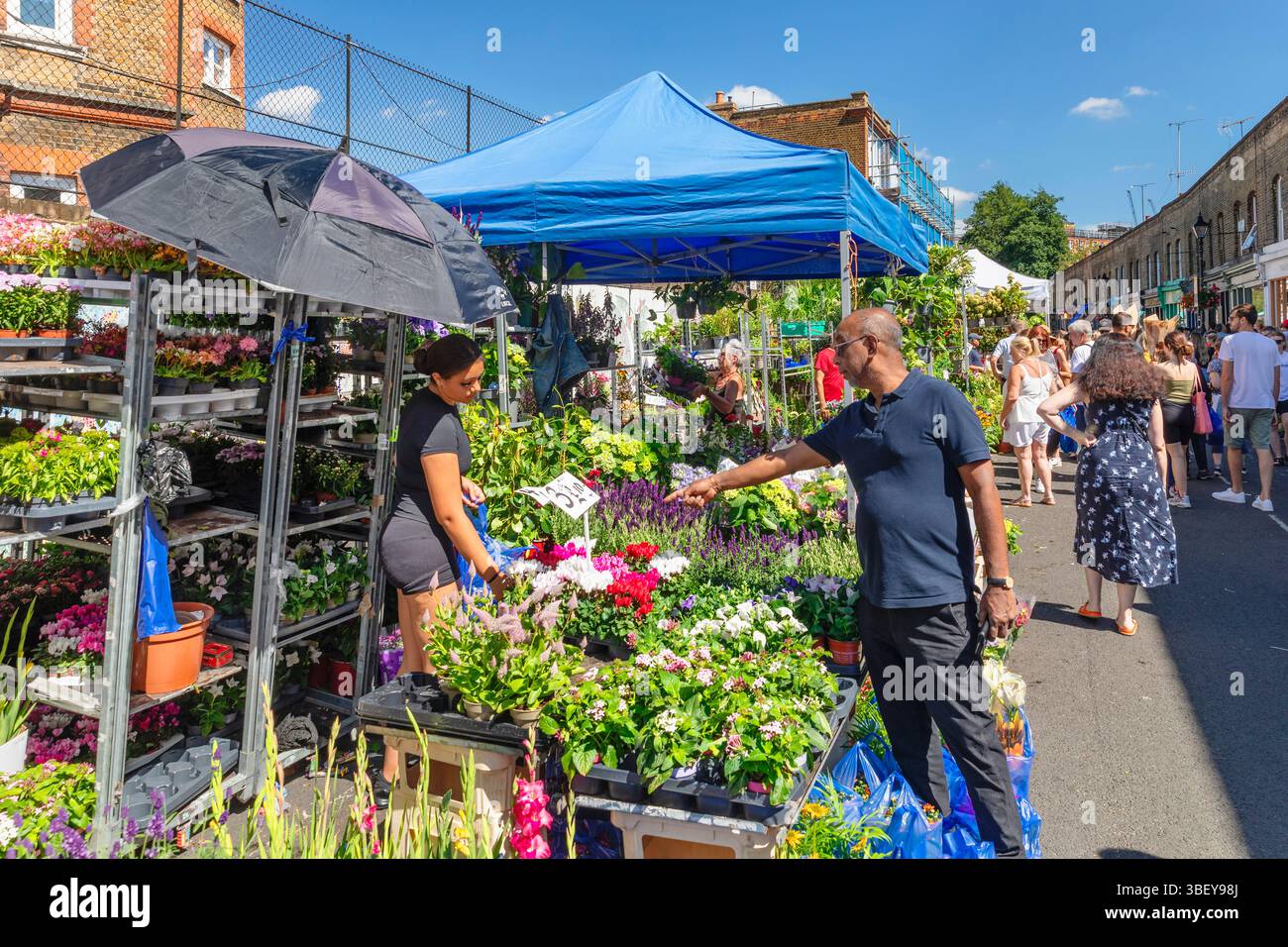 Columbia Road Flower Market, East End, London, England, Stockfoto