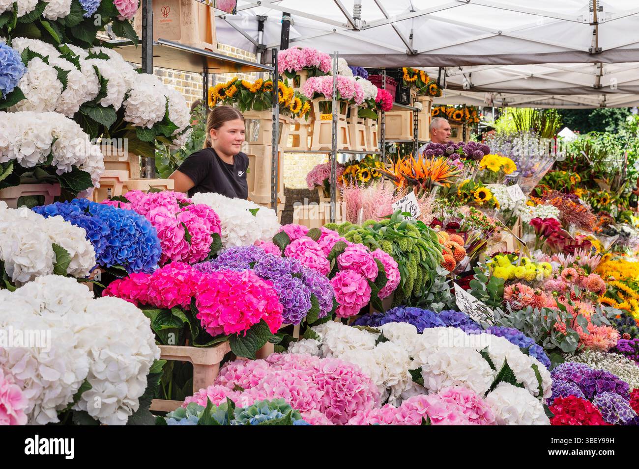 Columbia Road Flower Market, East End, London, England, Stockfoto
