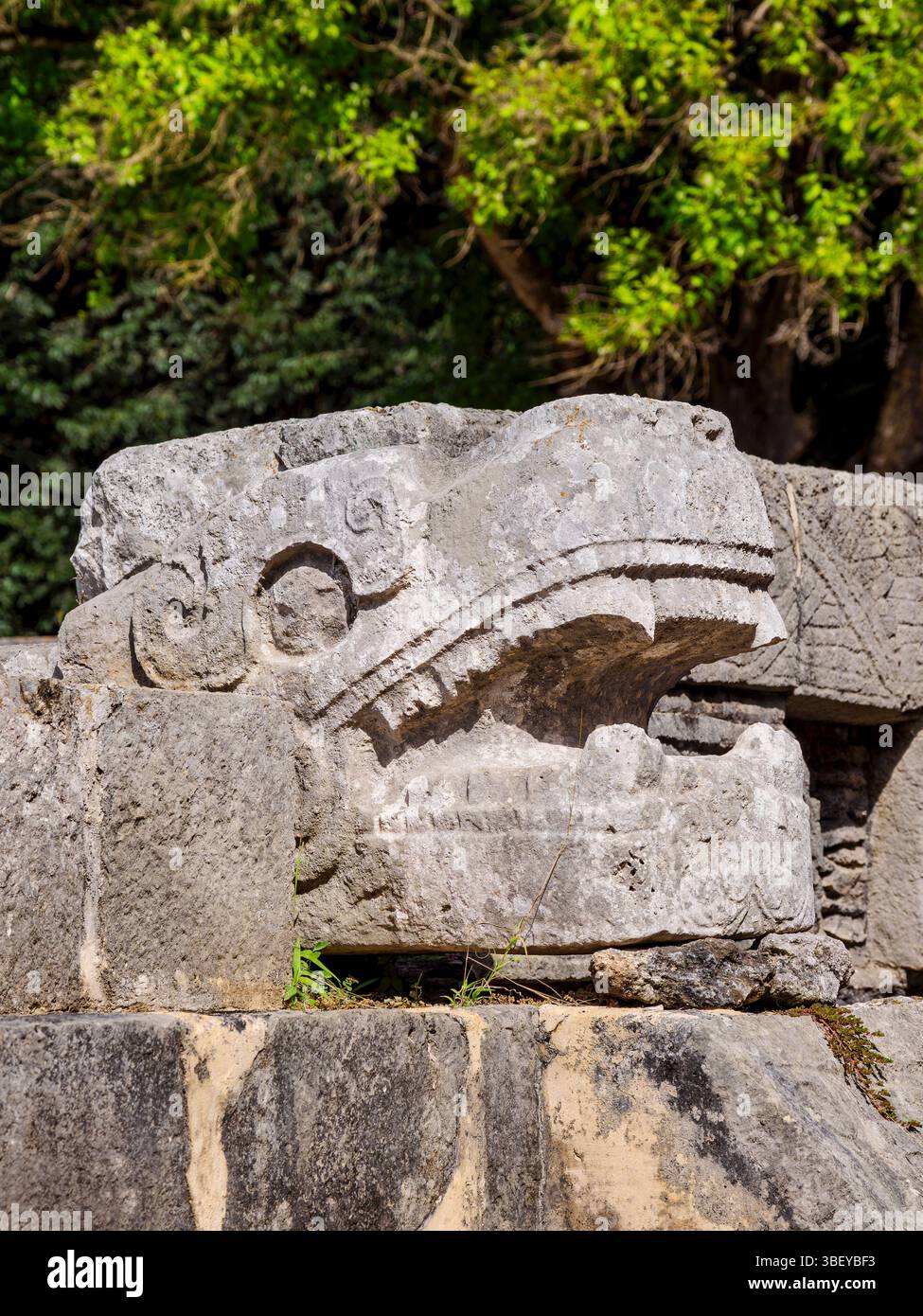 Die Tzompantli, Plattform der Schädel, Chichen Itza, Yucatan State, Mexiko Stockfoto