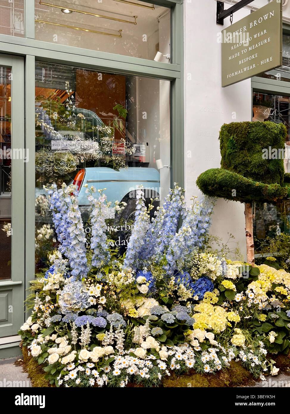Eine ästhetische Ausstellung frischer Blumen im Rahmen der RHS Chelsea Flower Show Chelsea in Bloom 2025 in Chelsea, London, England, Großbritannien. - Smartphone-aufgenommenes Stockfoto