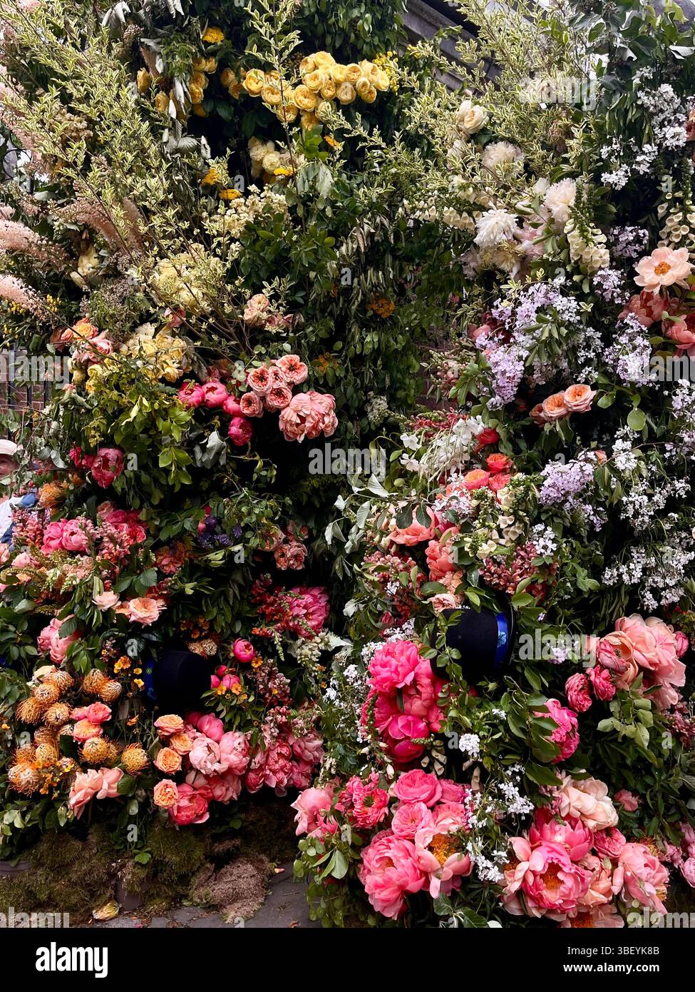 Eine wunderschöne Ausstellung frischer Blumen im Rahmen der RHS Chelsea Flower Show 2025 in Chelsea, London, England, Großbritannien, Europa im Frühjahr. - Smartphone-aufgenommenes Stockfoto