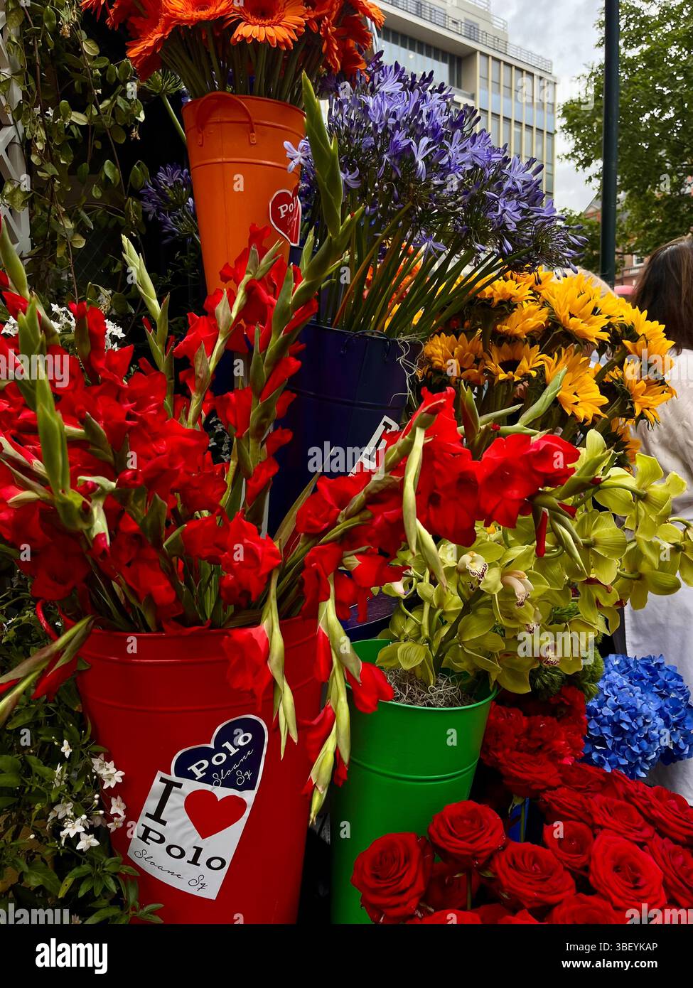 Eine wunderschöne Ausstellung frischer Blumen im Rahmen der RHS Chelsea Flower Show 2025 in Chelsea, London, England, Großbritannien, Europa im Frühjahr. - Smartphone-aufgenommenes Stockfoto