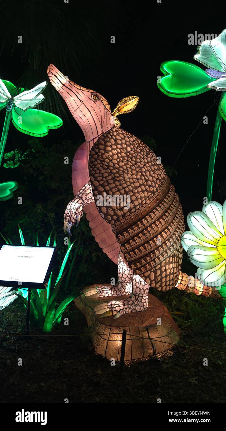 Asian Lantern Festival, Central Florida Zoo, Vereinigte Staaten von Amerika Stockfoto