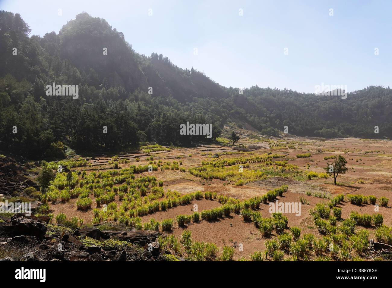 Die dramatische Landschaft im vulkanischen Hochland des nördlichen St. Antonius, Kap Verde Stockfoto