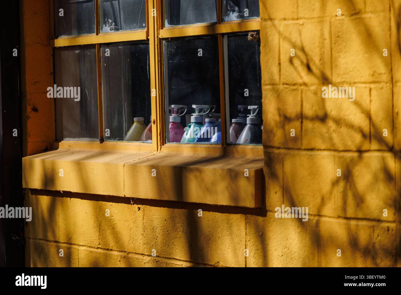 Farbenfrohe Farbflaschen sitzen auf einer Fensterbank in einem gelben Backsteingebäude, mit Schatten von Ästen, die Muster an der Wand im Sonnenlicht werfen. Stockfoto