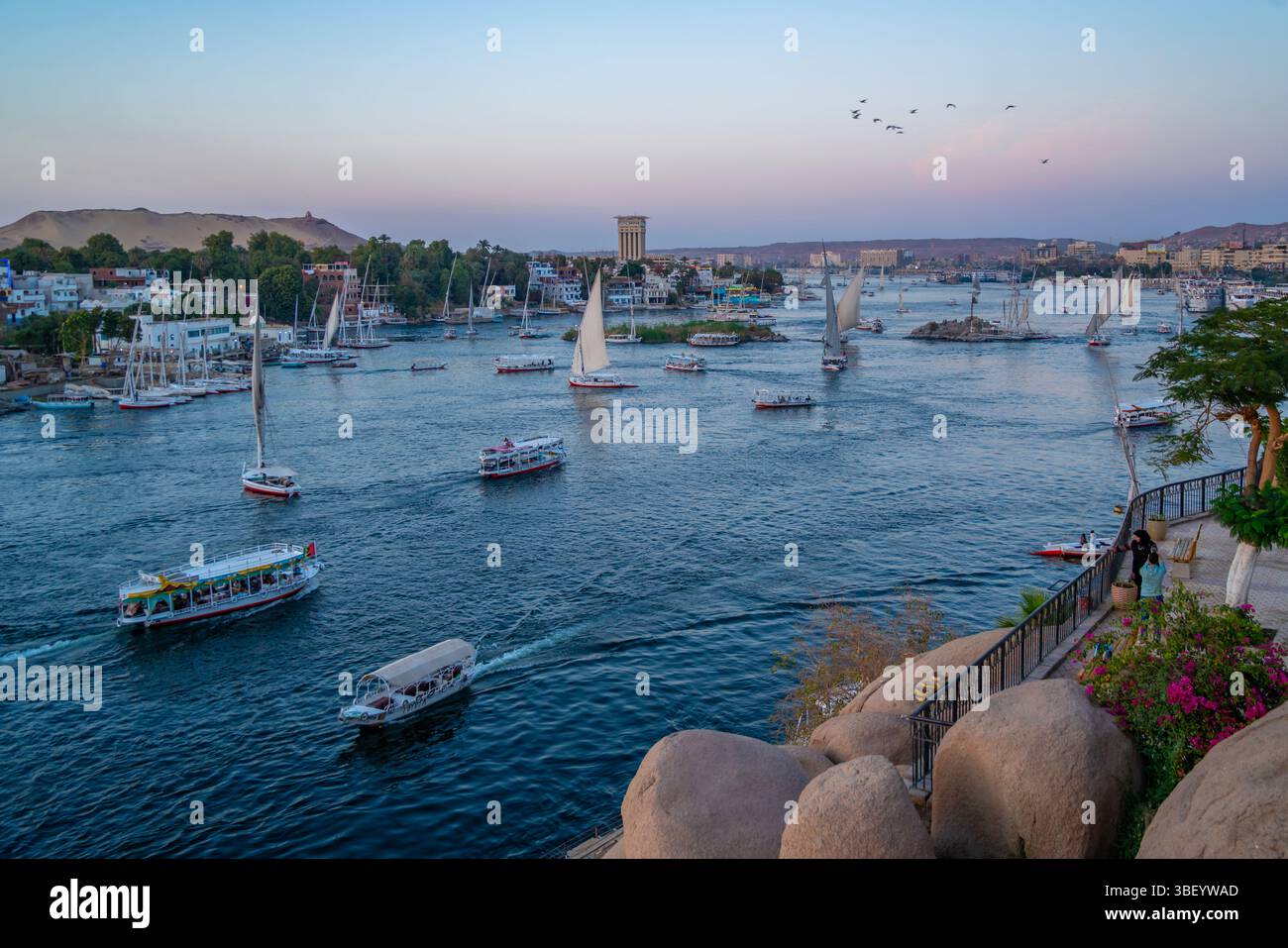 Blick auf Fellucas am Nil vom Feryal Garden in der Abenddämmerung, Assuan, Nubien, Ägypten, Nordafrika, Afrika Stockfoto