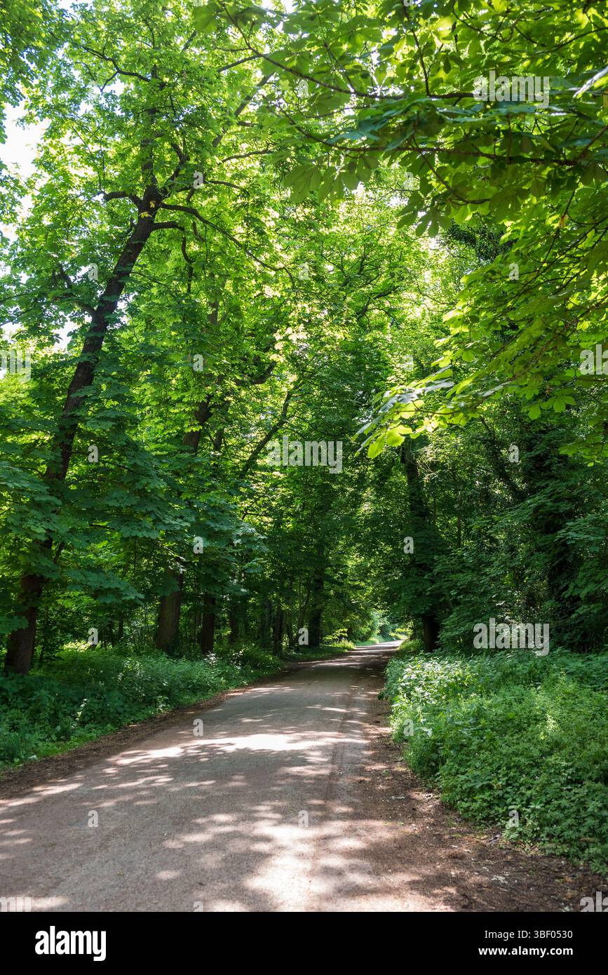 Bois de Vincennes, der größte öffentliche Park der Stadt, Paris, Frankreich Stockfoto
