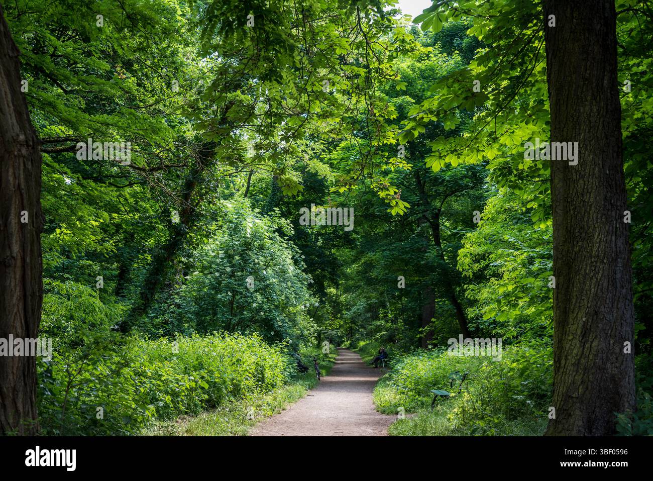 Bois de Vincennes, der größte öffentliche Park der Stadt, Paris, Frankreich Stockfoto