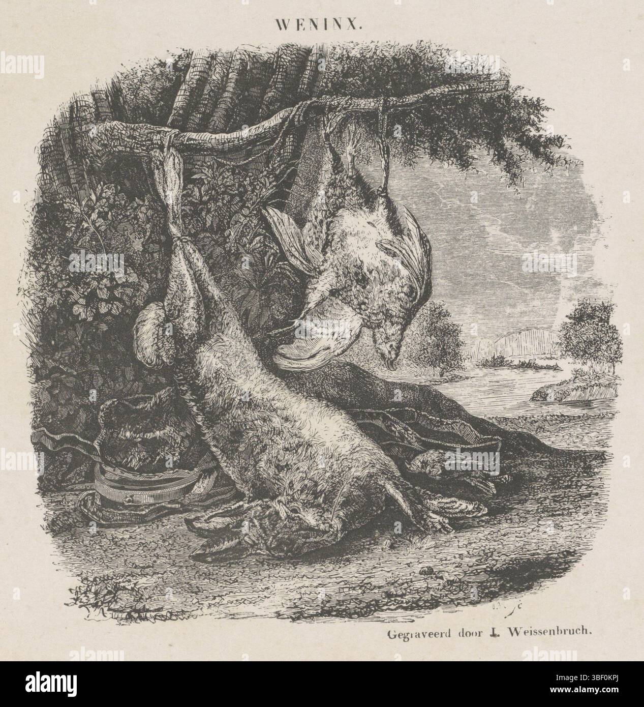 Weenix, Jan, Nederland, Weissenbruch, Yachtstilleven mit Hase und Geflügel in einer Landschaft, Niederlande, rückwärts Mitte - gestempelt, Druck, Höhe 119 mm, Breite 122 mm, Niederländisch, 18.03.1822, 15.02.1880, Druckerei, 1832.1880, Papier, Holzstich, Arbeitskonzept, 1642 - 19. September 1719 Stockfoto