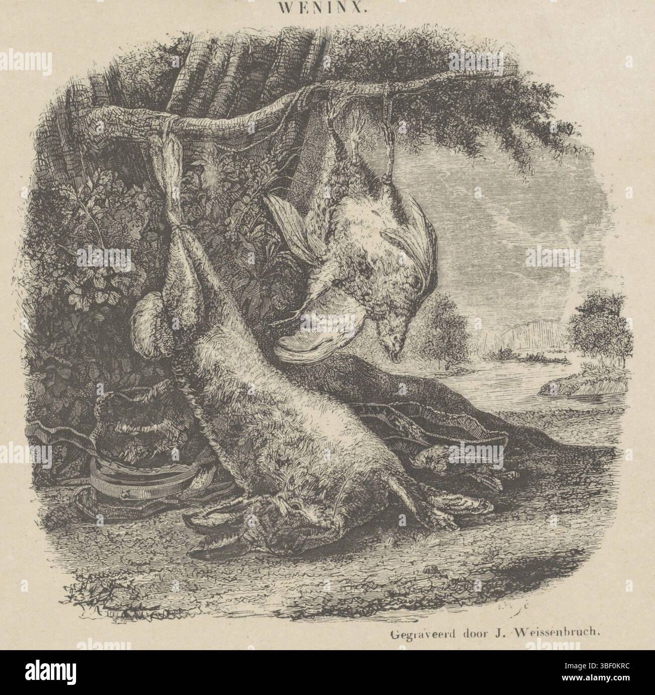 Weenix, Jan, Nederland, Weissenbruch, Yachtstilleven mit Hase und Geflügel in einer Landschaft, Niederlande, rückwärts Mitte - gestempelt, Druck, Höhe 122 mm, Breite 134 mm, Niederländisch, 18.03.1822, 15.02.1880, Druckerei, 1832.1880, Papier, Holzstich, Showlithographie, Arbeitskonzept, 1642 - 19. September 1719 Stockfoto