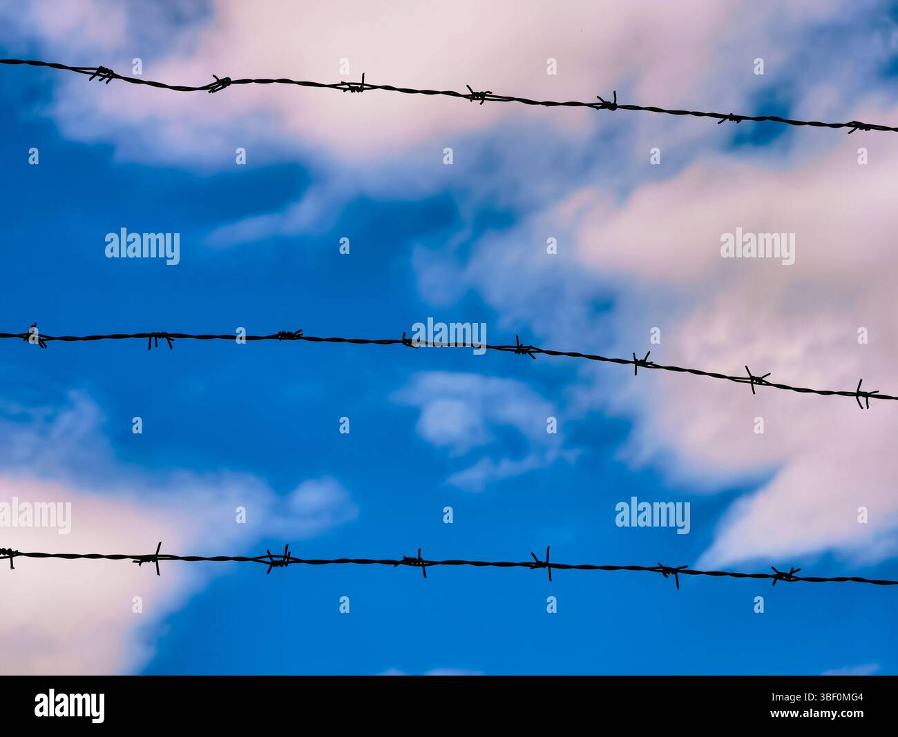 Stacheldraht Silhouette Against a woldy Blue Sky: Eine künstlerische Darstellung von Grenzen, Widerstandsfähigkeit und Freiheit – ideal für kreative und konzeptionelle Projekte Stockfoto